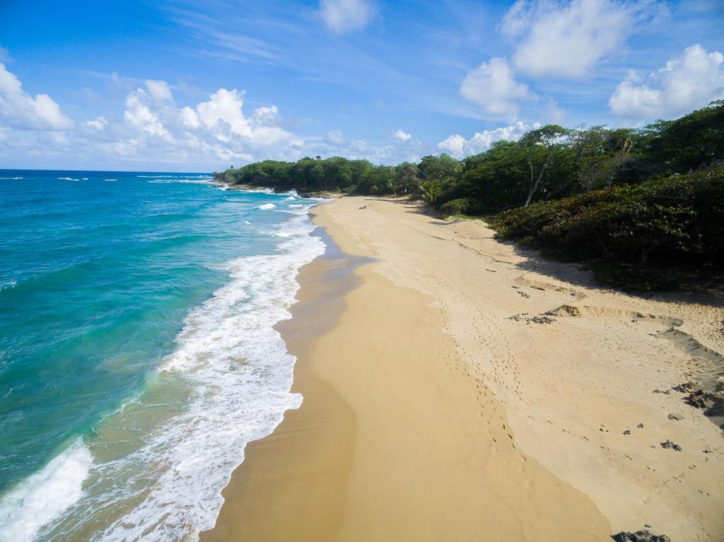 Natura Cabana Boutique Hotel & Spa By Mint Cabarete Exterior photo