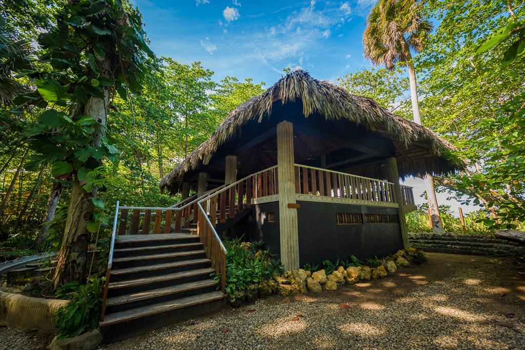 Natura Cabana Boutique Hotel & Spa By Mint Cabarete Exterior photo