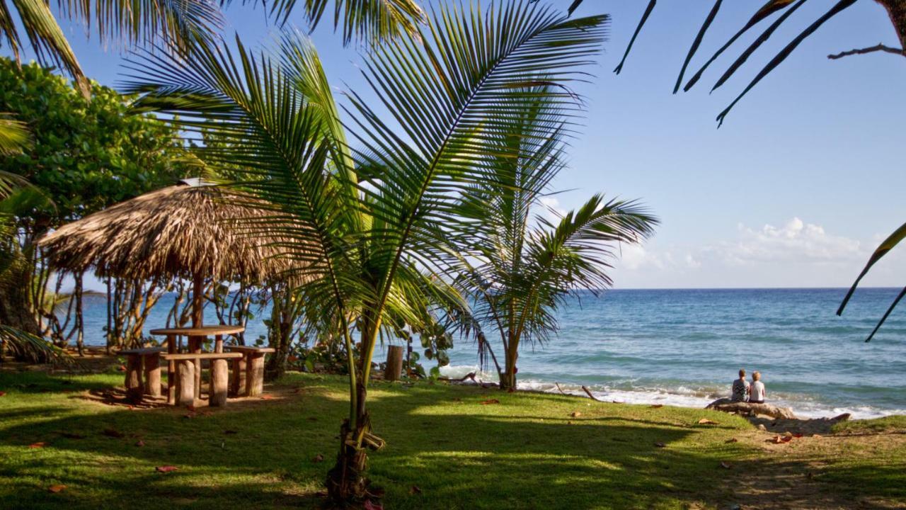 Natura Cabana Boutique Hotel & Spa By Mint Cabarete Exterior photo