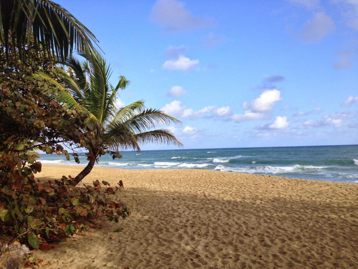 Natura Cabana Boutique Hotel & Spa By Mint Cabarete Exterior photo